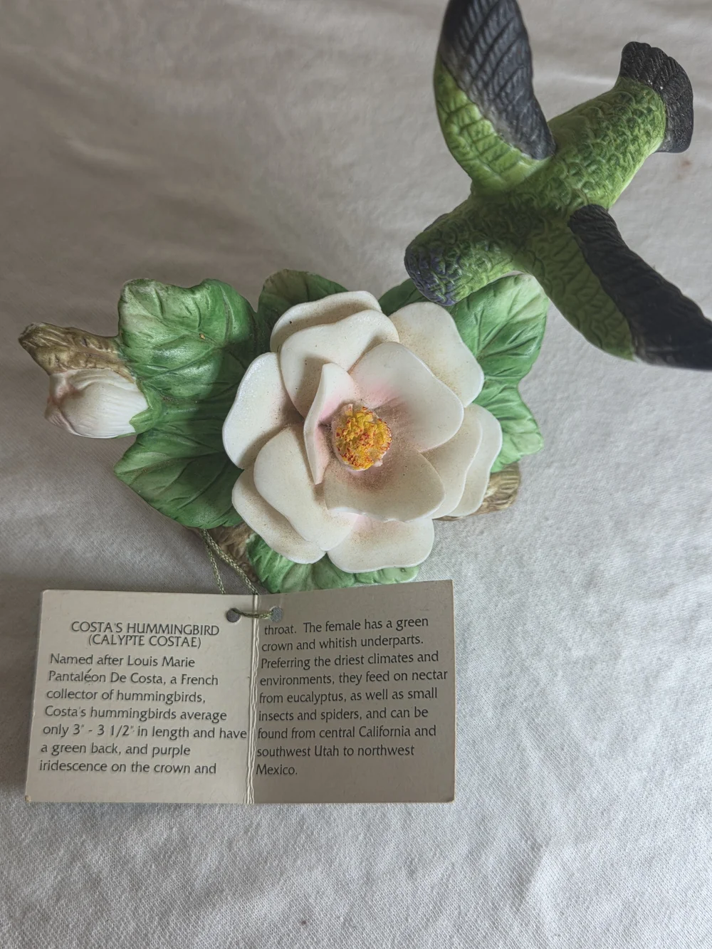 Porcelain Floral Bird Figurine - Green Hummingbird Decorative Accent